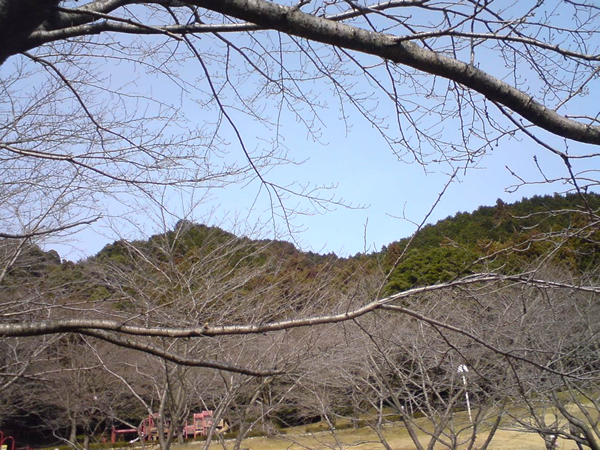 SN3A0030.jpg