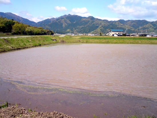 SN3A0225.jpg