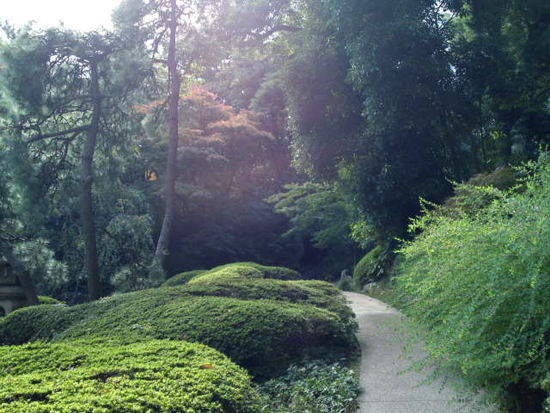 SN3O0388.jpg
