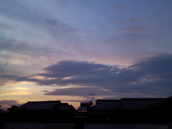 SN3O1275.jpg