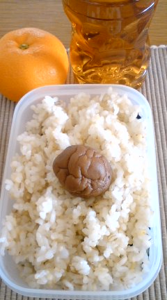 image/snitta-2009-02-18T16:02:15-2.jpg