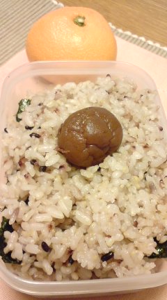 image/snitta-2009-02-20T18:42:11-2.jpg
