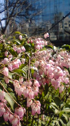 image/snitta-2009-02-21T14:01:53-2.jpg
