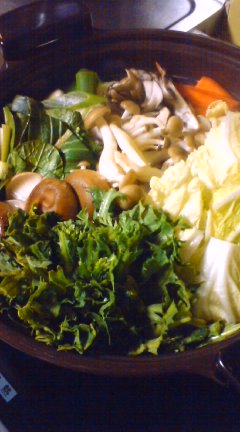 100116_2028~01.jpg